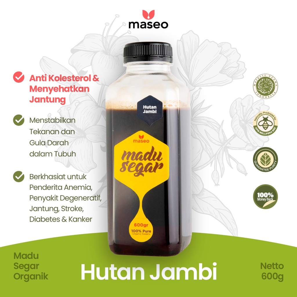 

Madu Hutan Liar Maseo 600gr Madu Asli Madu Murni Organik | Madu Obat Herbal Diabetes Stroke Jantung