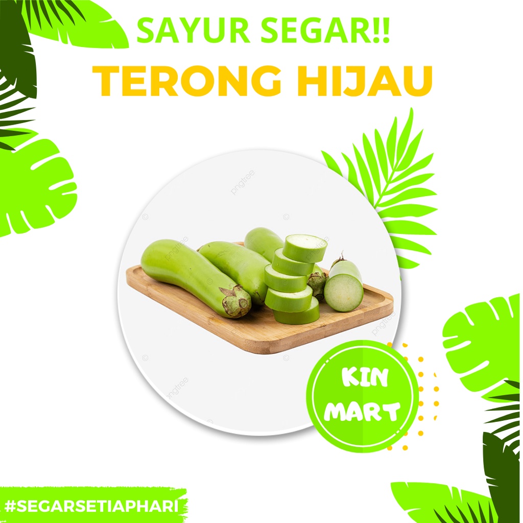 

Terong Hijau Segar