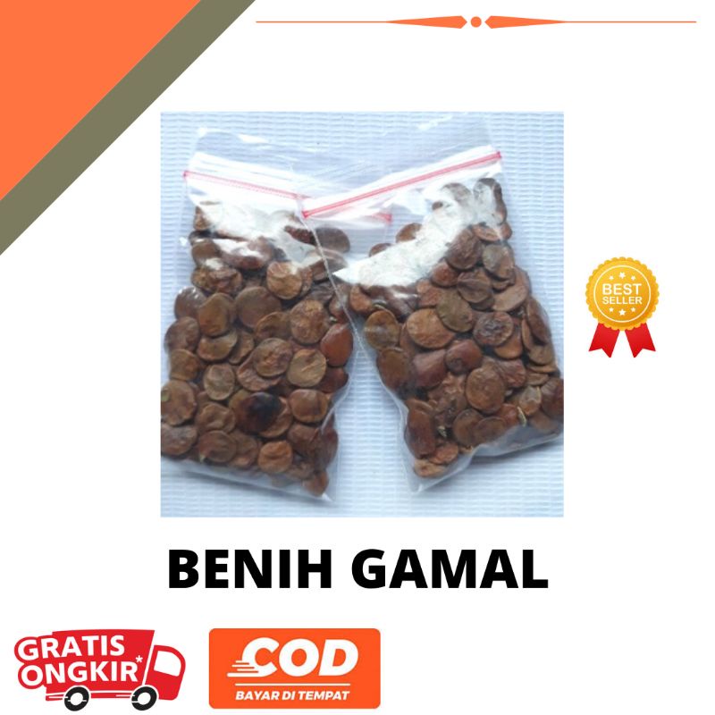 Jual Benih Gamal Pakan Ternak Hijauan Kaya Protein Shopee Indonesia