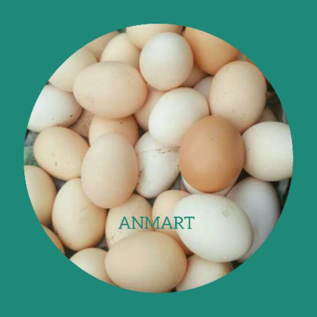 

ANMART | 4Butir Telur Ayam Kampung Asli | Sayur Online