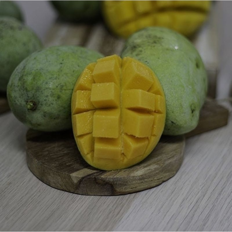 

MANGGA INDRAMAYU PREMIUM