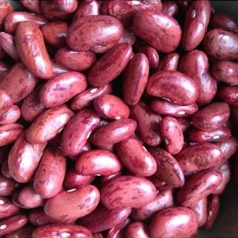 

Bdg KACANG MERAH PASAR FRESH