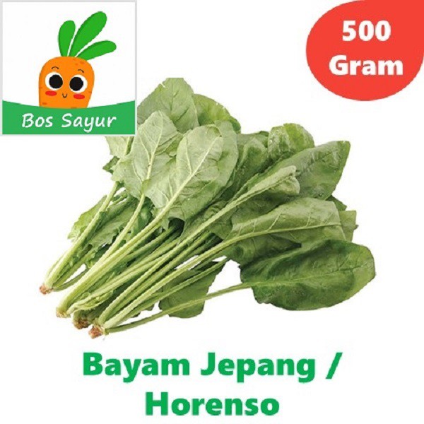 

Bayam Jepang - Horenso - 500 Gram