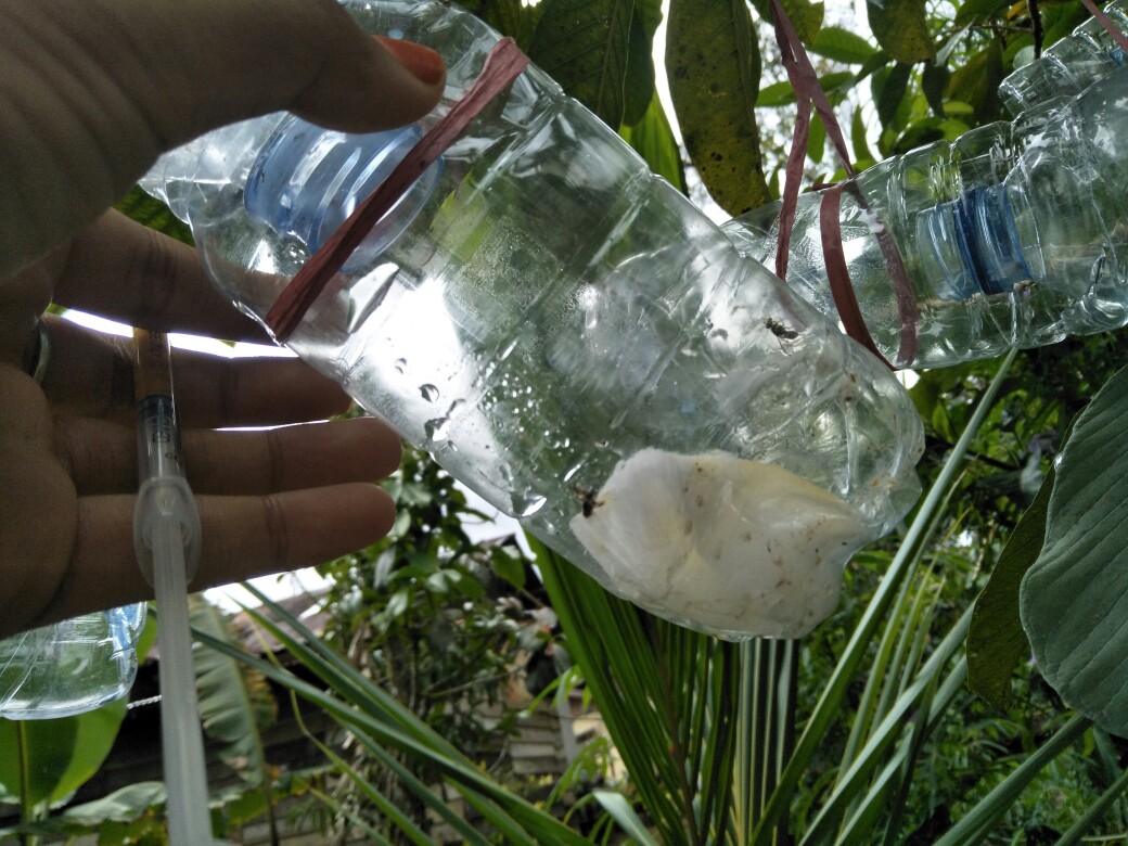 Polybag Polibek Polybeg 40x40 Cm Per Lembar