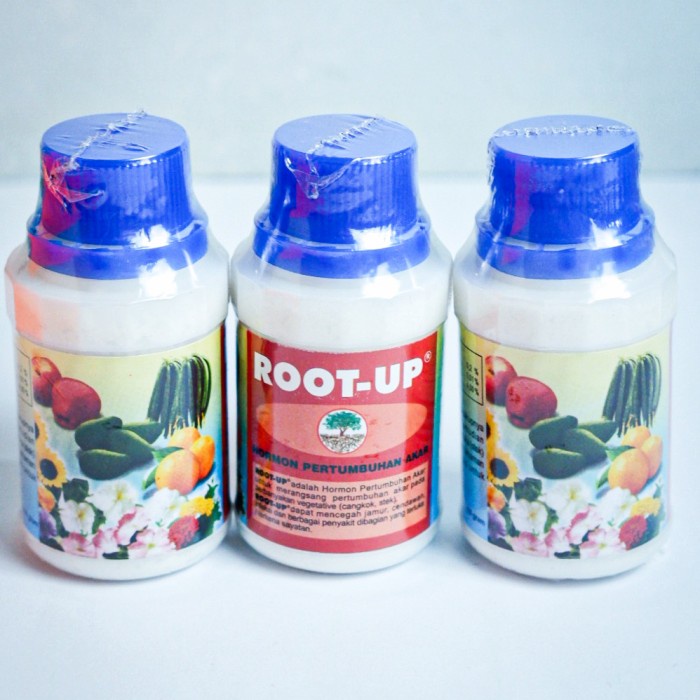 ZPT/perangsangg akar/obat cangkok dan stek/Root up