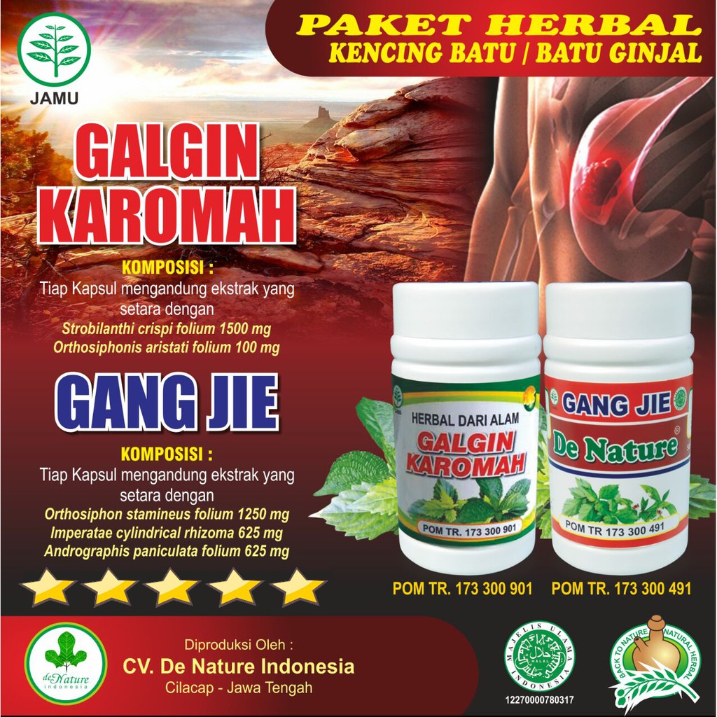 Obat Kencing Batu Batu Ginjal Susah Kencing Sakit Pada Saat Kencing Gagal Ginjal