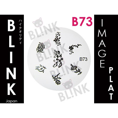 BLINK Image Plate B71 - B81