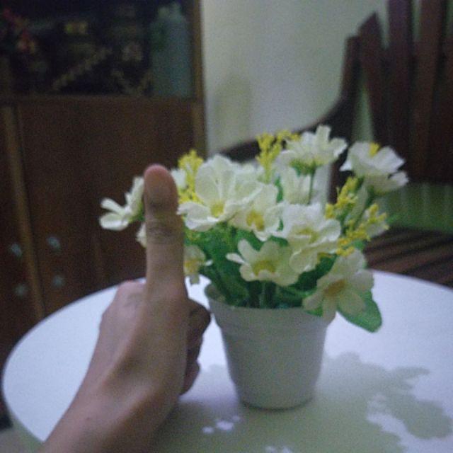Bunga Hias Bunga Daisy Cantik Shabby Bunga Shabby