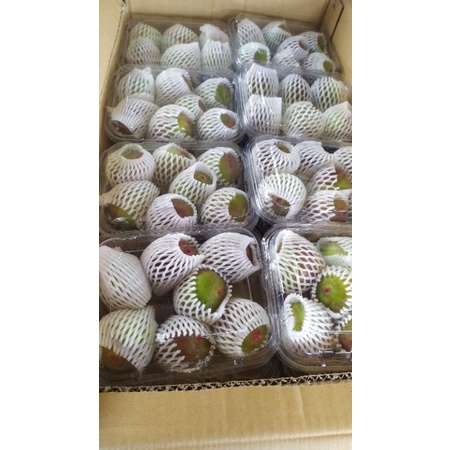 

buahtin buahfresh buahara buah tin