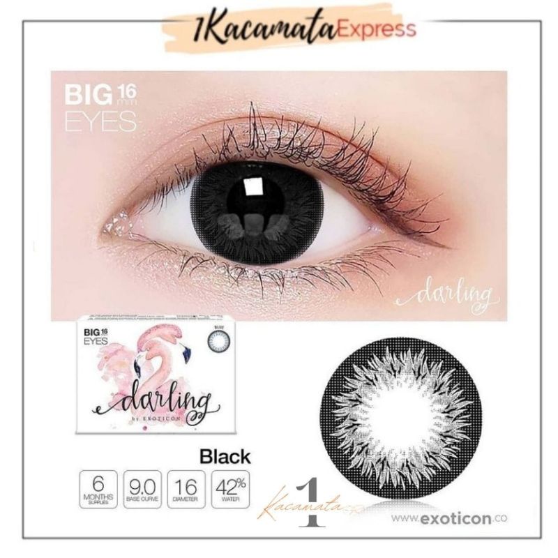 SOFTLENS WARNA EXOTICON X2 DARLING NEW COLOR