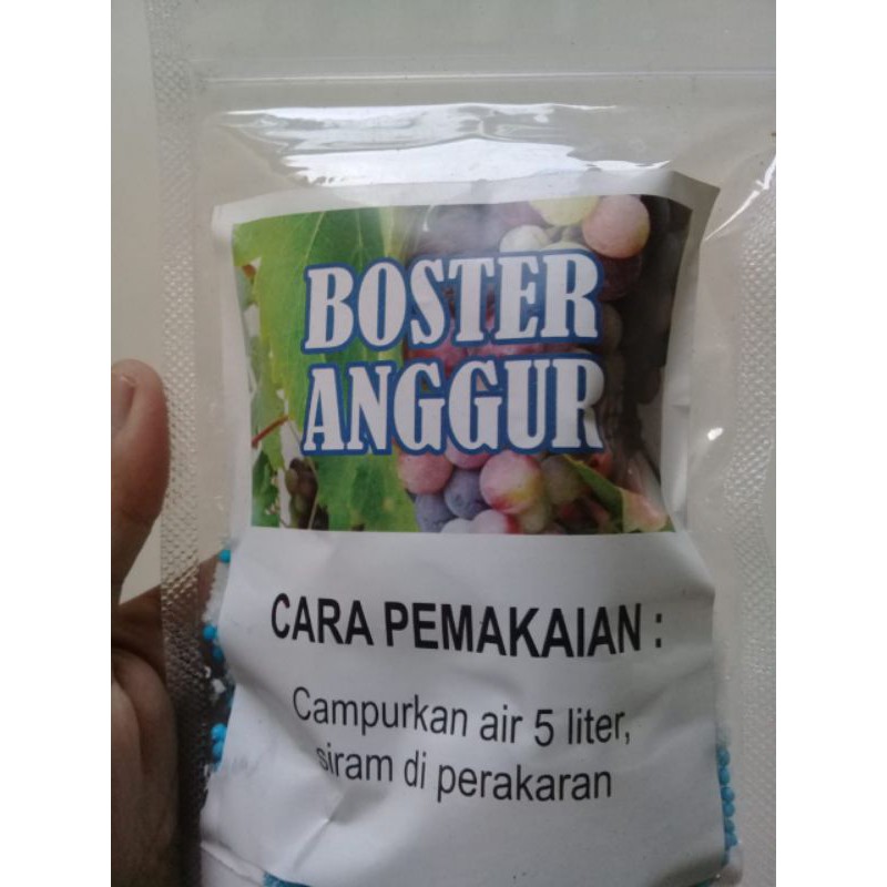 

Boster Anggur