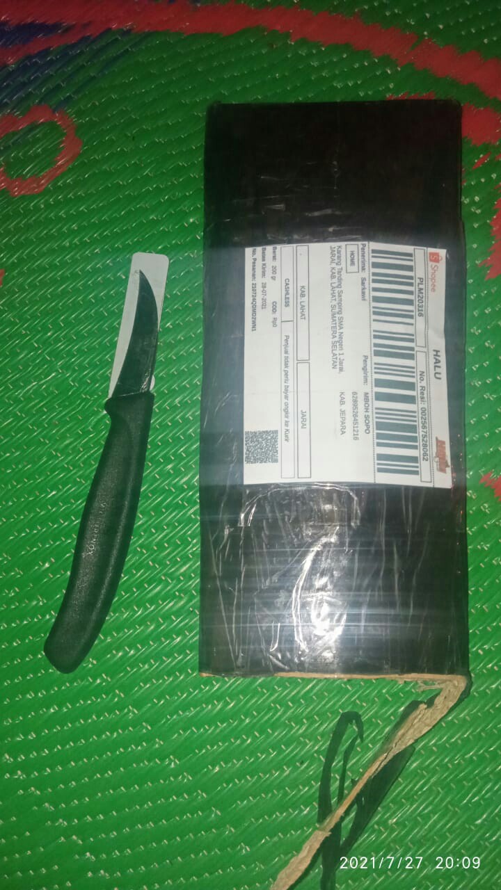 Alat Bonsai Dan Berkebun, Pisau Victorinox Pisau Okulasi Made In Swiss