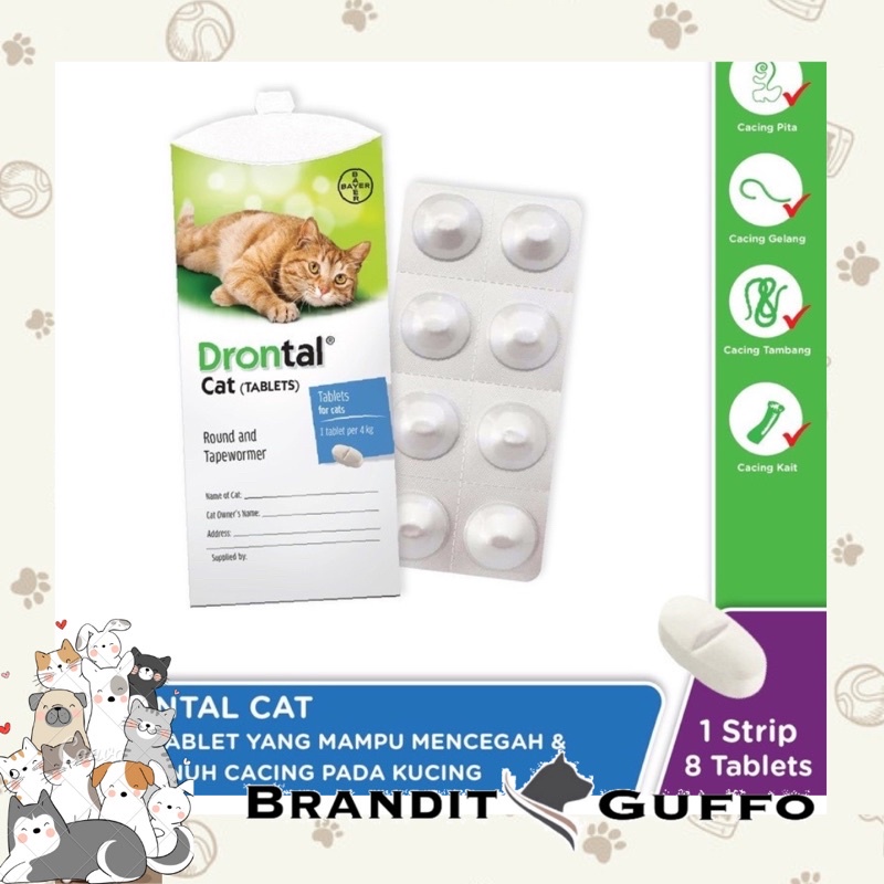 Drontal cat asli original obat cacing kucing 1 tablet drontal bayer