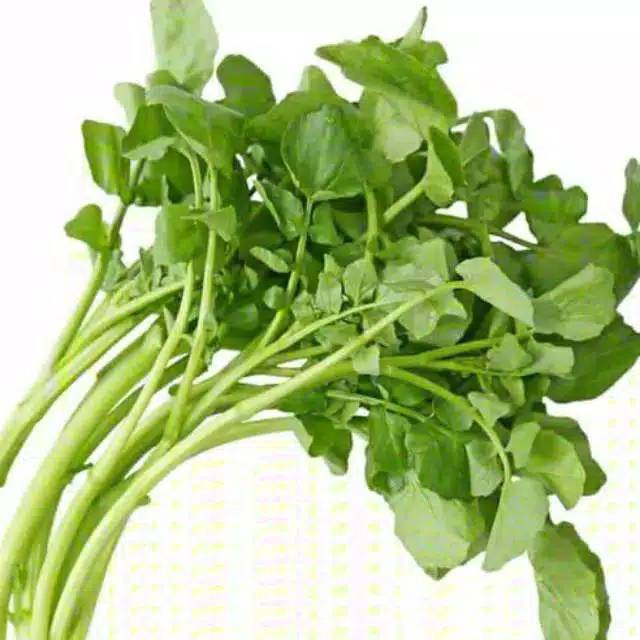 

Selada Air / Sayur Paret 1 ikat