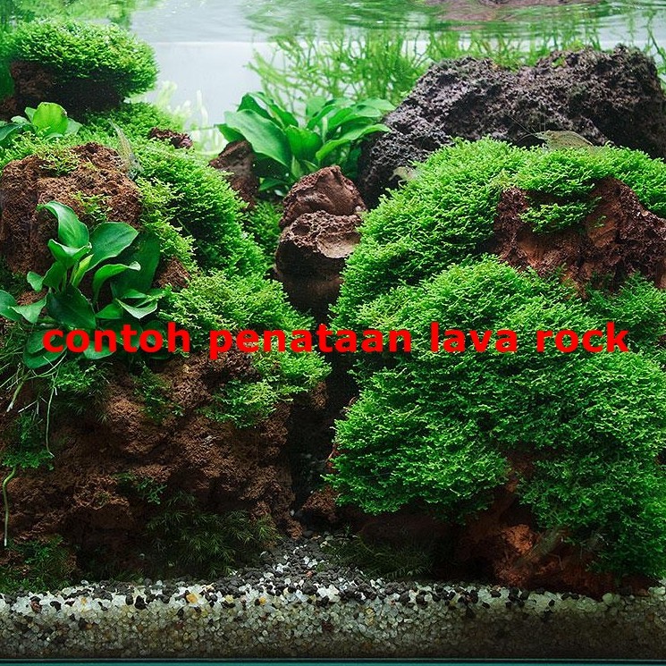 BATU LAVA ROCK ROUGH LAVAROCK 1 kg 1kg  Hiasan Aquarium Aquascape