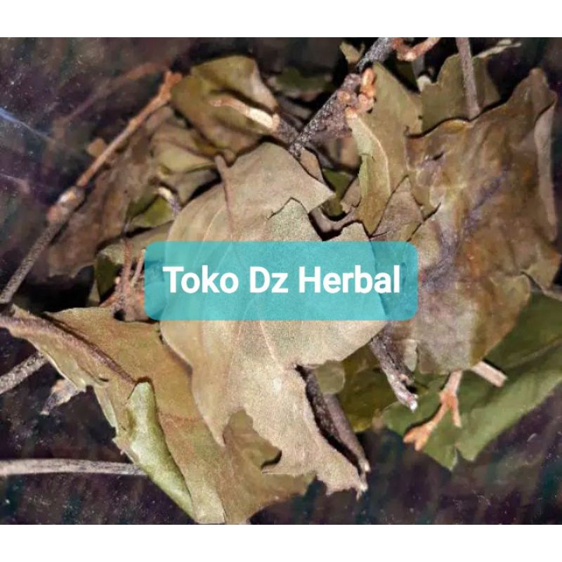 

Hemat 250 gram benalu kopi kering alami-az