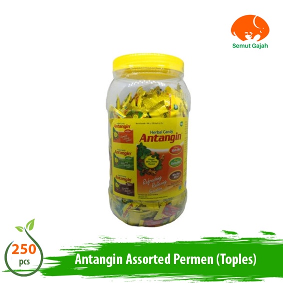 

Antangin Assorted Toples Isi 250 - Permen