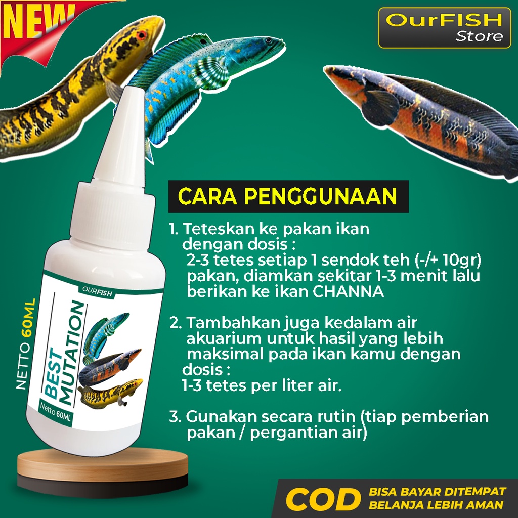 OURFISH - Obat Mutasi Pakan Pelet Ikan Channa Best Mutation Andrao Sentarum Auranti Maculata Limbata Booster