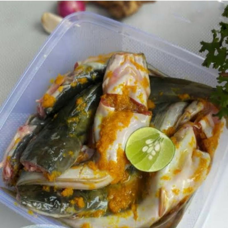 

Ikan Lele bumbu Frozen- 4 ekor Free Sambel berat -+500 gr