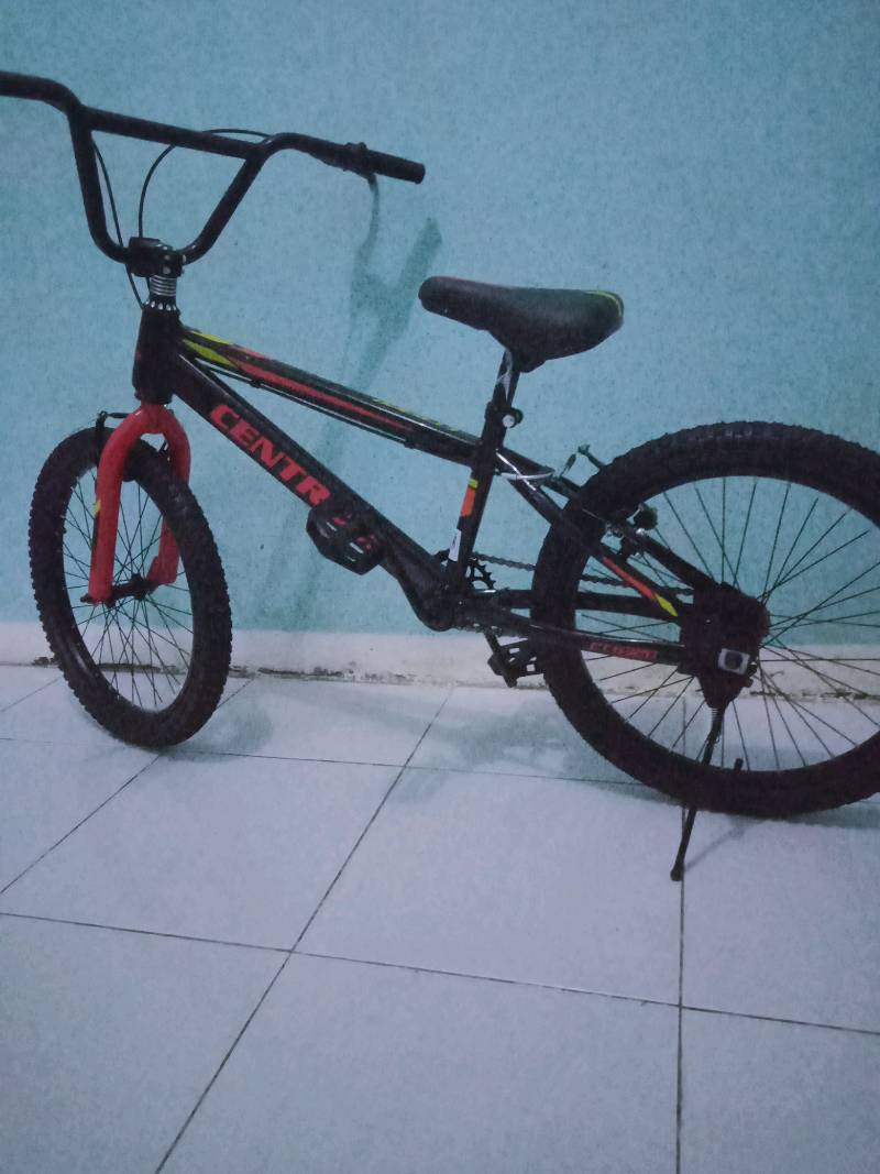 Sepeda anak laki-laki umur 10 tahun