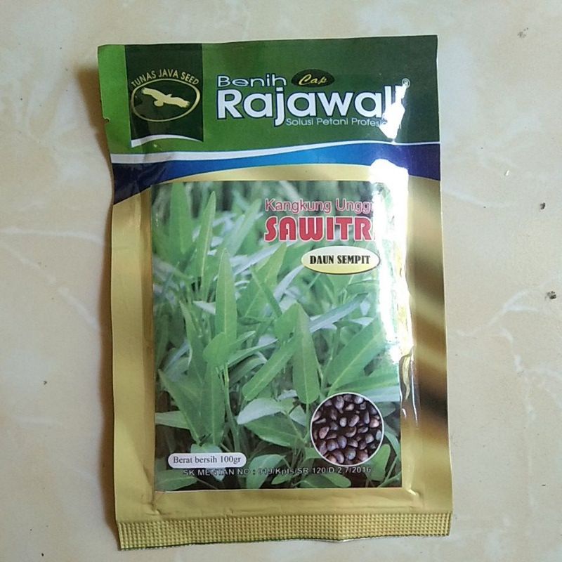 benih kangkung rajawali