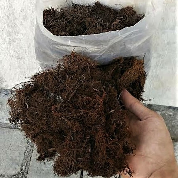 media moss hitam 500gr (akar kadaka) media tanam cangkok