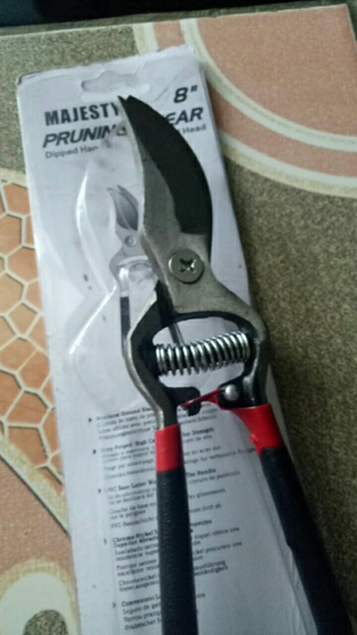 Gunting Dahan Gunting Ranting Gunting Tanaman 72114-1701