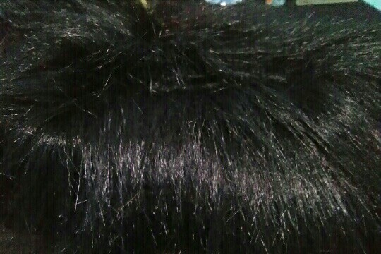 Cover Tissue Bulu Korea