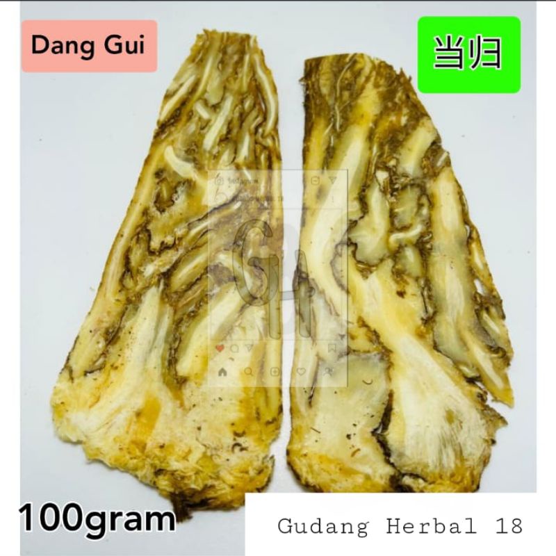 Dang Gui  - Radix Angelicae Sinensis [100 Gram]