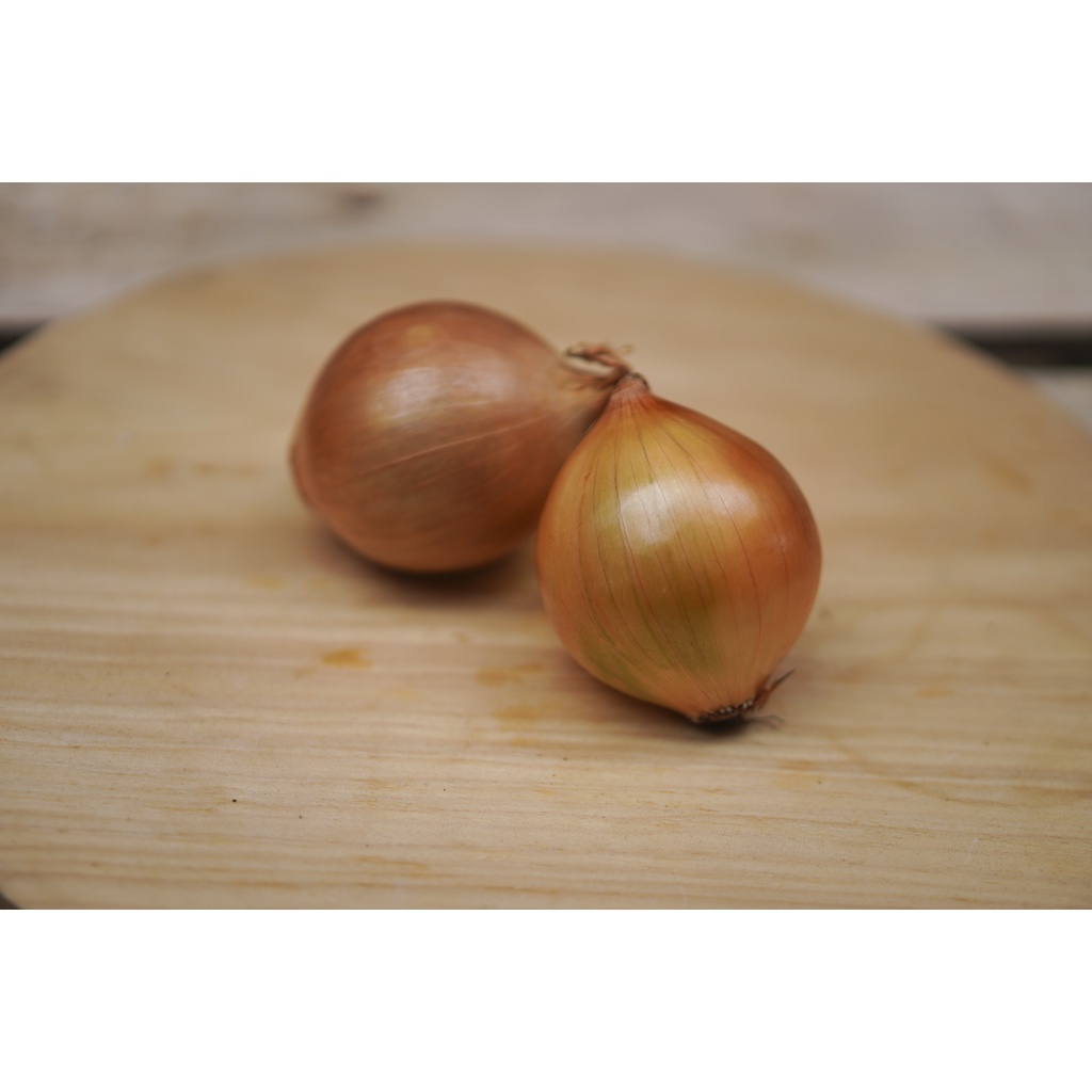 

Bawang bombay utuh satuan (50 gr)