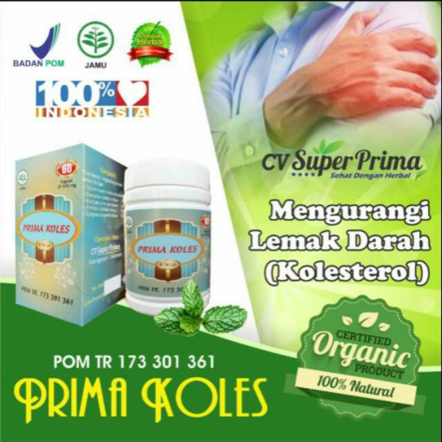 Obat HERBAL KOLESTROL PRIMA KOLES POM TR OBAT KOLESTROL