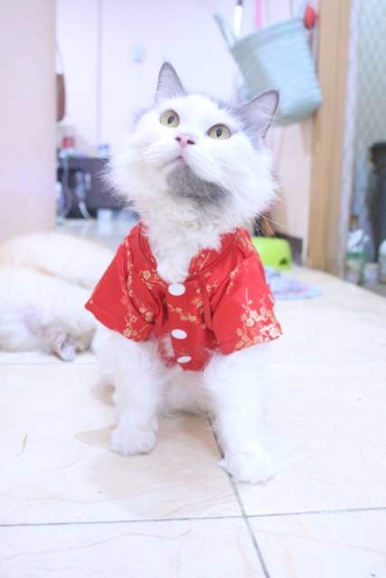 Baju chongsam spesial ada tas slempang untuk angpao imlek 2020 / baju kucing dan anjing size S-XL