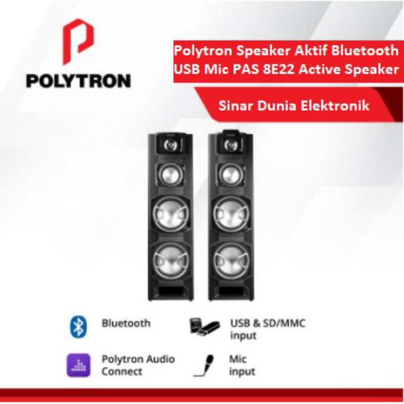 SPEAKER POLYTRON PAS 8E22