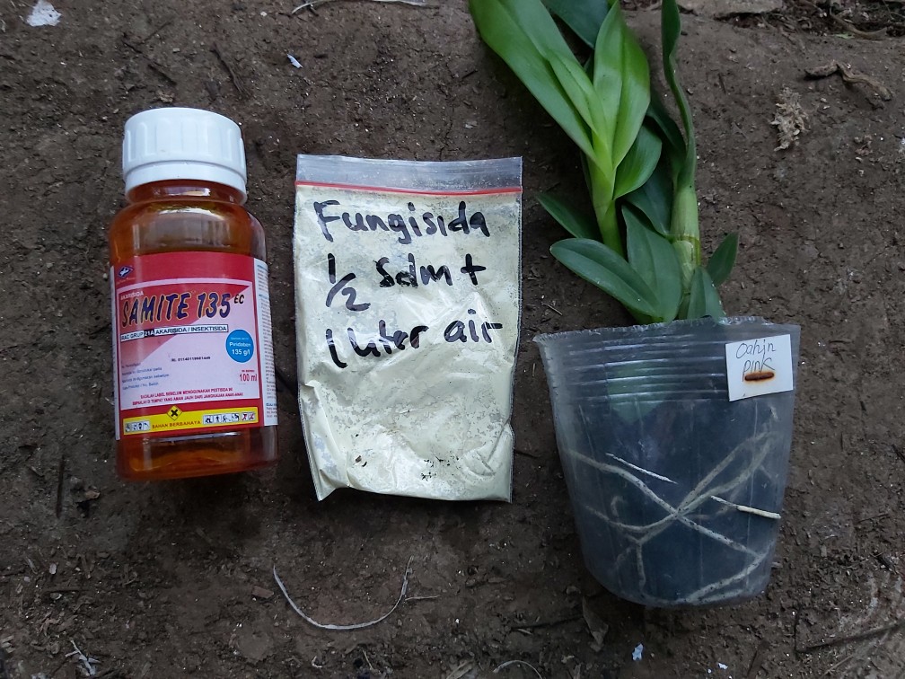 Samite Kemasan 100 Ml