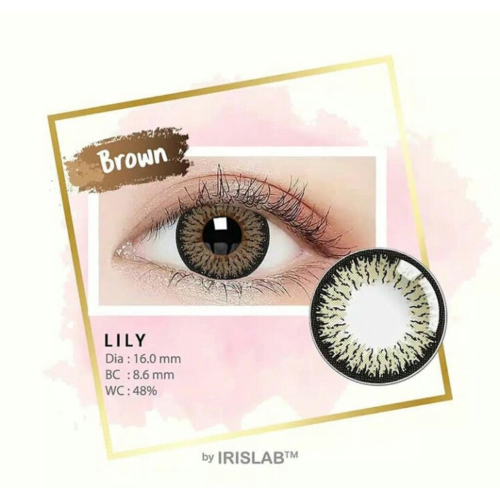 SOFTLENS LILY BROWN (-0.50 S/D -6.00)