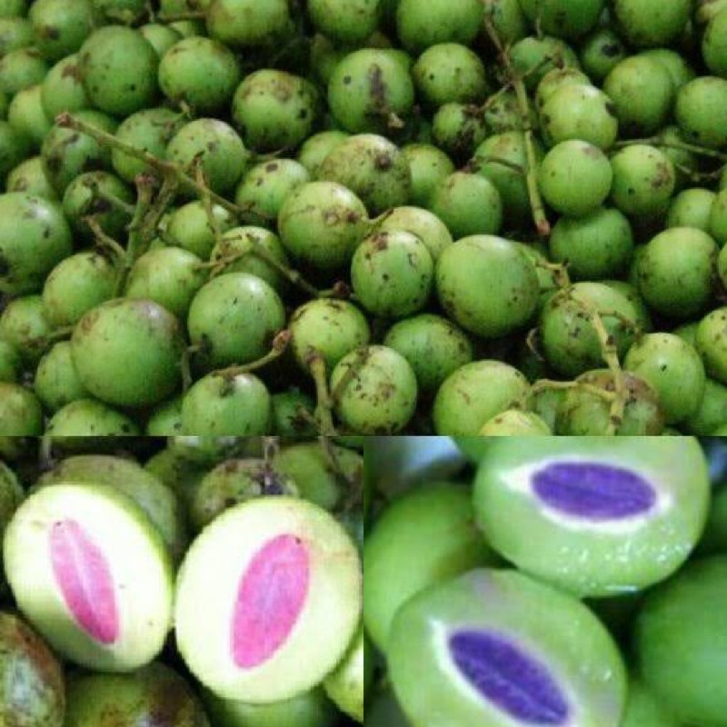 BUAH RAMANIA BALAHAN 1KG
