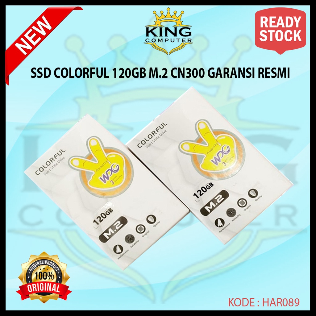 SSD Colorful 120GB CN300 M.2 2280 GARANSI RESMI