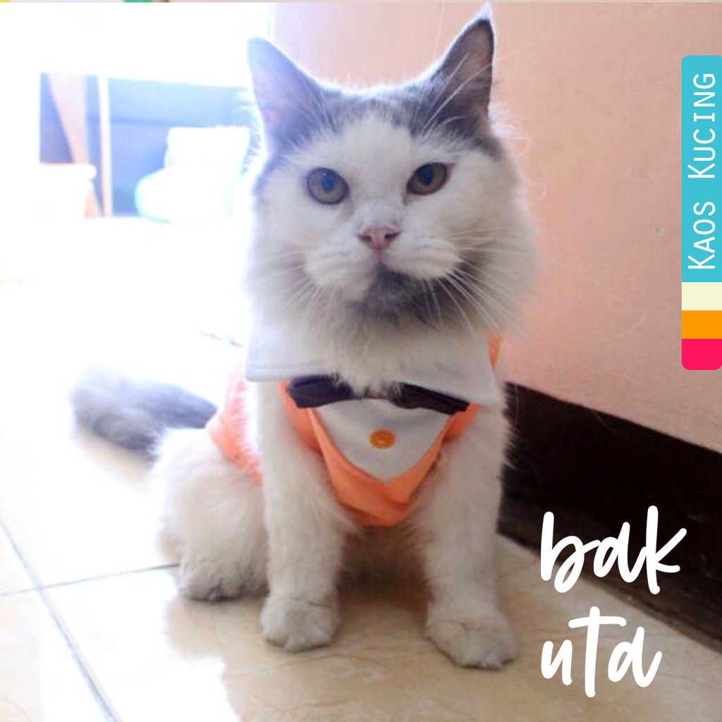 Kaos orange tuxedo untuk kucing dan anjing /Jual Baju Kucing Terlengkap &amp; Berkualitas size S M L XL