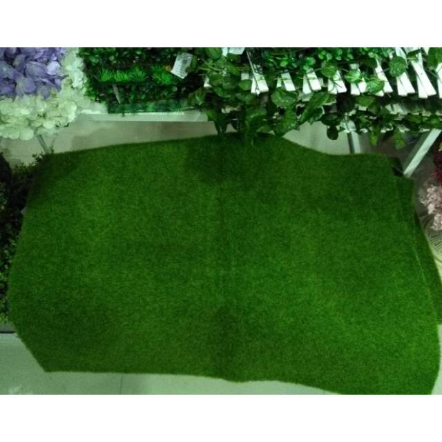 KARPet Rumput sintesis