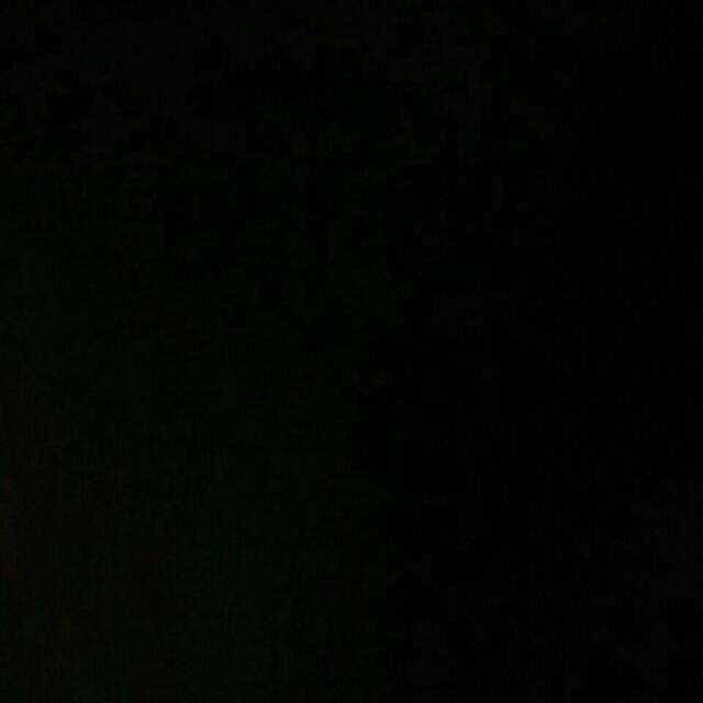 Paku Payung (1kotak Isi 10kotak Kecil)