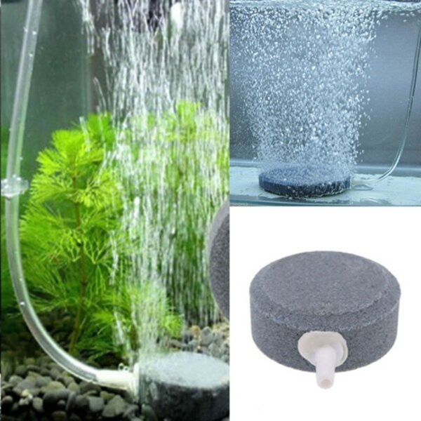 Batu Aerator Bulat Pipih 5 cm 5cm Air Stone Airstone Kolam Aquarium