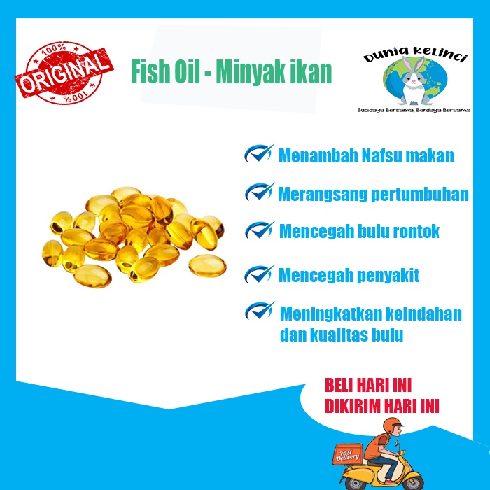 MAKANAN KUCING KALENG INDO CAT 400 GR CAT FOOD BASAH ADULT KITTEN SALMON TUNA-10 Fish Oil