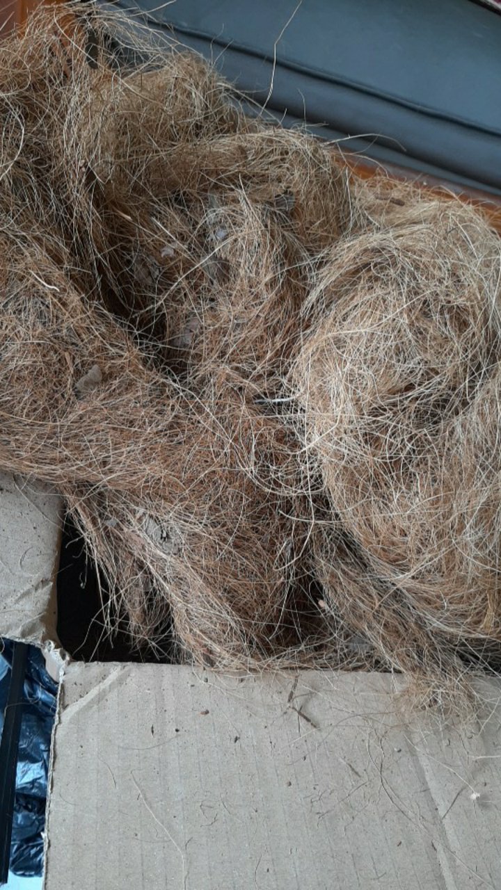 Pot Bunga Tanah Liat Pot Anggrek Bk