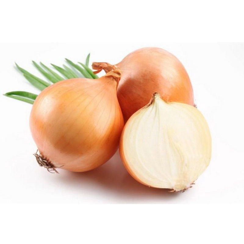 

Bawang bombay