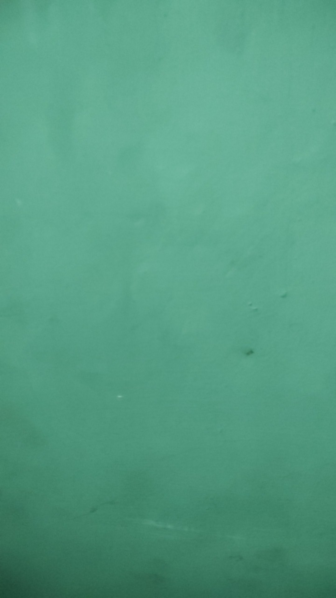 Sapu Hana Semangka/watermelon Broom