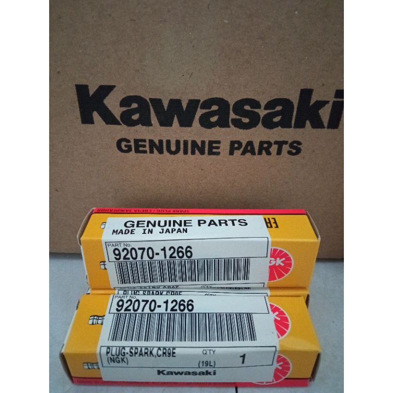 BUSI KLX 250, BUSI NINJA RR MONO