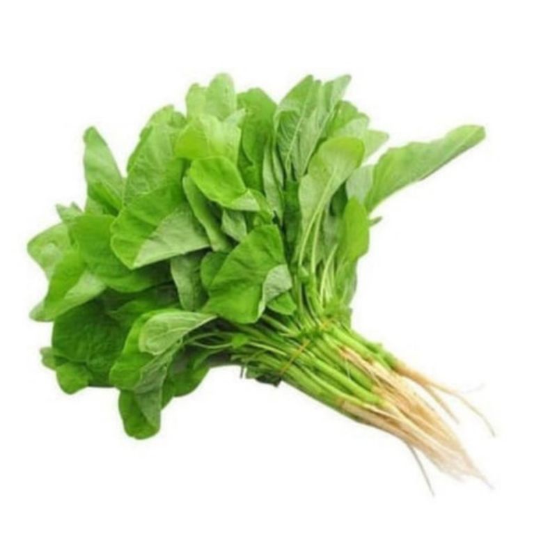 

Sayur Bayem