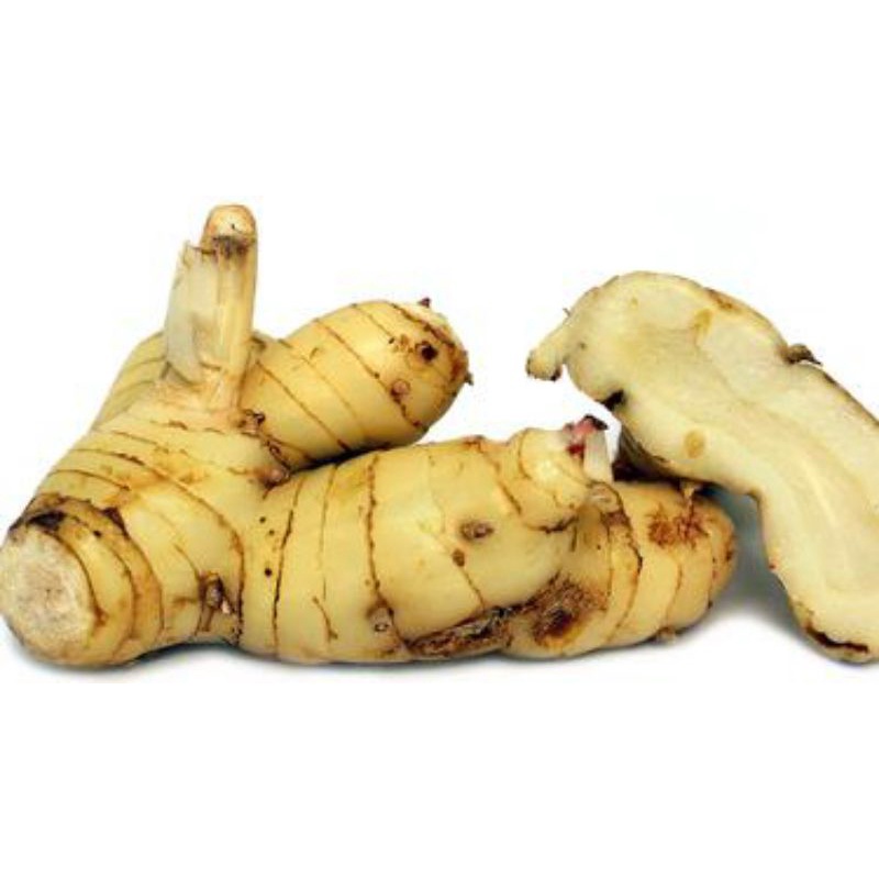 

Laos/Lengkuas (Bakulsayuronline)