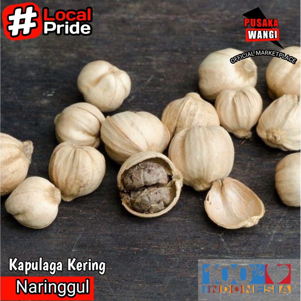 

Kapulaga Kering 500gr Ukuran Besar Best Quality Cardamom Java Grade A Tanpa Pemutih