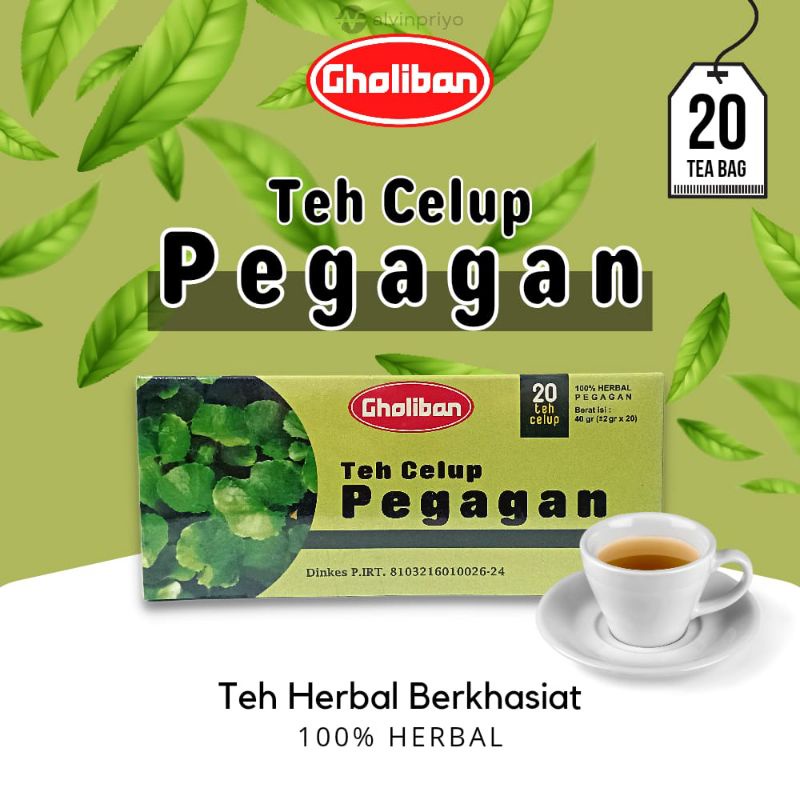 

Teh Celup Pegagan Gholiban Nutrisi Otak Daun Antanan